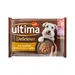 Ultima Fit & Delicious Mini Adult Dog 44 x 100g - Salmon & Turkey Mixed Pack