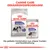 Royal Canin Sterilised X-Small suché krmivo a Sterilised All Sizes mokré krmivo. Kombinace suchého a mokrého krmiva pro psy.