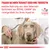 Fragen Sie Ihren Tierarzt oder Ihre Tierärztin, welche Nahrung aus dem Veterinär-Sortiment von Royal Canin die richtige Wahl für Ihren Hund ist.