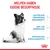 Welpen haben eigene Bedürfnisse: empfindliche körpereigene Abwehrkräfte, Lern- und Übungsphase, empfindliches Verdauungssystem. Royal Canin Logo unten rechts.