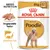 Royal Canin Adult Poodle, 85g x 12. Angepasste Textur für schönes Fell. Breed Nutrition speziell für Pudel.