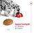 Angepasste Krokettengrösse zur Anregung des Kauens. Abbildung einer Krokette mit Massangabe von 1 cm und Hund, der aus rotem Napf frisst.