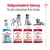 Tableau des croquettes Royal Canin Medium : Puppy 2–12 mois, Adult 12 mois–7 ans, Adult 7+ 7–10 ans, Ageing 10+ dès 10 ans. Texte en allemand sur l’alimentation adaptée à chaque âge.