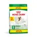 Croquettes Royal Canin Size pour chien : 8 / 15 kg + 1 / 3 kg offerts ! - Mini Adult (8 kg + 1 kg offert !)