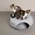 Duas gatos numa cama de feltro cinzenta para gatos com caverna. Logótipo visível: Modern Living.