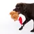 Brown dog playing with a plush toy shaped like a turkey wearing a Christmas hat.