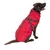 Cane con cappotto rosso con strisce rifrangenti e pettorina integrata. Cerniera visibile sul retro.