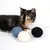 Chat tricolore allongé à côté de trois balles en feutre bleu, blanc et noir sur fond blanc. Les matériaux visibles sont du feutre.