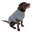 Chien marron portant un manteau gris avec détails jaunes et étiquette visible sur le côté. Le tissu semble doux, coupe couvrante jusqu’au cou et aux pattes avant.