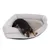 Dog lying in a grey, padded pet bed with raised edge and soft lying surface.