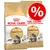 Royal Canin Adult Maine Coon Katzenfutter, zwei Packungen mit Rabatt-Symbol. Joint Support für gesunde Gelenke, Feline Breed Nutrition. Royal Canin Adult Maine Coon Katzenfutter, zwei Packungen mit Rabatt-Symbol. Joint Support für gesunde Gelenke, Feline Breed Nutrition.