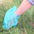 Hand in a blue bag picking up dog waste from grass. Demonstration of using biodegradable dog waste bags.