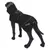 Manteau noir pour chien sur mannequin, marque rukka visible sur le côté et sur la sangle, éléments réfléchissants et capuche grise apparente.