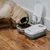 Automatischer Futterspender von Carl Miele mit Timer-Funktion, gefüllt mit Trockenfutter. Hund frisst aus einer der geöffneten Schalen.