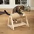 Chat utilisant un griffoir cylindrique en corde avec support en bois, posé sur le sol d’une pièce intérieure.