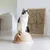 Cat toy made of rope material with feather pendant, with a cat sitting on it. Background shows an image with a cat motif.