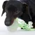 Hund leger med grønt legetøj af reb og plast.