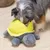Dog playing with a plush toy shaped like a turtle with a yellow shell, suitable for interactive play.