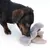 Dachshund playing with a grey plush toy in the shape of an elephant.