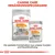Royal Canin Coat Care Trocken- und Feuchtnahrung für gesunden und glänzenden Fell. Kombination aus Mini-Trockenfutter und All Sizes Feuchtfutter, sichtbar in der Verpackung.