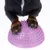 Impronte di cane su una palla viola con nodi, adatta per esercizi di equilibrio e coordinazione.