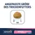Angepasste Grösse des Trockenfutters, Krokette mit Massstab von 0 bis 1 cm. Advance Veterinary Diets Atopic & Food Sensitivity Mini unter 10 kg mit Forelle.
