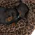 Dog lying in a cosy bed with leopard print. Product shows comfort and design of the pet bed.