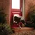 PetSafe® Staywell® Husdyrluke Original