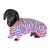 Dackel trägt gestreiften Hundepullover mit Wassermelonen-Muster und rosa Bündchen. Sichtbares Logo: FuzzYard.