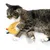 Cat playing with yellow fabric toy shaped like a crescent moon with embroidered face and colourful ribbons.