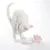 Weisse Katze spielt mit einem rosa Spielzeug in Form einer Wolke, verbunden mit einem flexiblen Stoffschlauch.