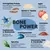 BONE POWER: Verträgliches Protein, Quinoa & Tapioka, Apfel, Leinsamen, Teufelskralle & Weidenrinde, Grünlippmuschel, Spirulina, Glucosamin, MSM & Chondroitin mit jeweiliger Funktion. BONE POWER: Verträgliches Protein, Quinoa & Tapioka, Apfel, Leinsamen, Teufelskralle & Weidenrinde, Grünlippmuschel, Spirulina, Glucosamin, MSM & Chondroitin mit jeweiliger Funktion.