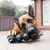 Chien de grande taille mâchant un jouet noir en caoutchouc avec plusieurs compartiments visibles, certains remplis de friandises. Jouet posé sur le sol extérieur devant une maison.