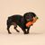 Hund spielt mit orangefarbenem Karotten-Spielzeug aus Stoff und Kunststoff.