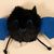 TIAKI Vibrating Bat with Retracting Pull String Cat Toy