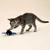 TIAKI gatto giocattolo vibrante pipistrello