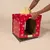 TIAKI Red Gift Box Scratching Furniture