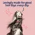 Text reads: Lovingly made for good hair days every day, with an image of a long-haired dog and decorative sparkles.