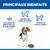 Principaux avantages : perte de poids efficace et sûre, maintien du poids à long terme, préservation de la masse corporelle maigre. Chien représenté à côté de la gamelle. Principaux avantages : perte de poids efficace et sûre, maintien du poids à long terme, préservation de la masse corporelle maigre. Chien représenté à côté de la gamelle.