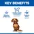 Hill's Science Plan Perfect Weight Adult 1+ Small & Mini with Chicken