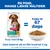 Hill's Science Plan Perfect Weight Adult 1+ Small & Mini med kylling