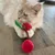 Beige cat playing with a red plush toy shaped like cherries with green leaf and brown stem.