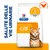 Hill's Prescription Diet c/d Multicare Urinary Care secco gatto - Pollo