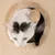 Cat sitting inside a circular plush-lined opening on a textured scratching post, demonstrating use of the product’s hideaway feature.