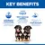 Hill's Science Plan Perfect Digestion Puppy <1 Medium with Chicken & Brown Rice