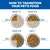 Hill’s Science Plan Puppy Large Breed Perfect Digestion