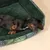 TIAKI Jungle Collection Kuschelbett