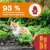 93 % der Tierärzte empfehlen unsere Harnwegsformel. Abbildung einer Harnwege-Paste für Katzen, Quelle: Kantar-Umfrage unter tierärztlichen Haustierbesitzern. 93 % der Tierärzte empfehlen unsere Harnwegsformel. Abbildung einer Harnwege-Paste für Katzen, Quelle: Kantar-Umfrage unter tierärztlichen Haustierbesitzern.
