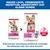 Hill's Science Plan Adult 1-6 Small & Mini mit Lamm & Reis