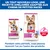 Hill's Science Plan Adulte 1-6 Small & Mini nourriture pour chien à l'agneau et au riz, nouveau design d'emballage, mention d'ActivBiome+ Multi Benefit. Hill's Science Plan Adulte 1-6 Small & Mini nourriture pour chien à l'agneau et au riz, nouveau design d'emballage, mention d'ActivBiome+ Multi Benefit.
